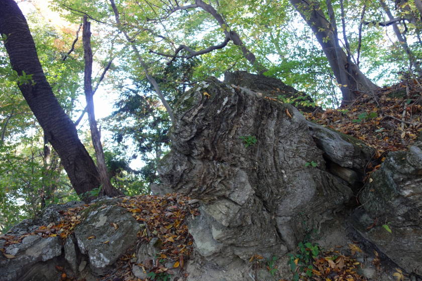 DSC04405