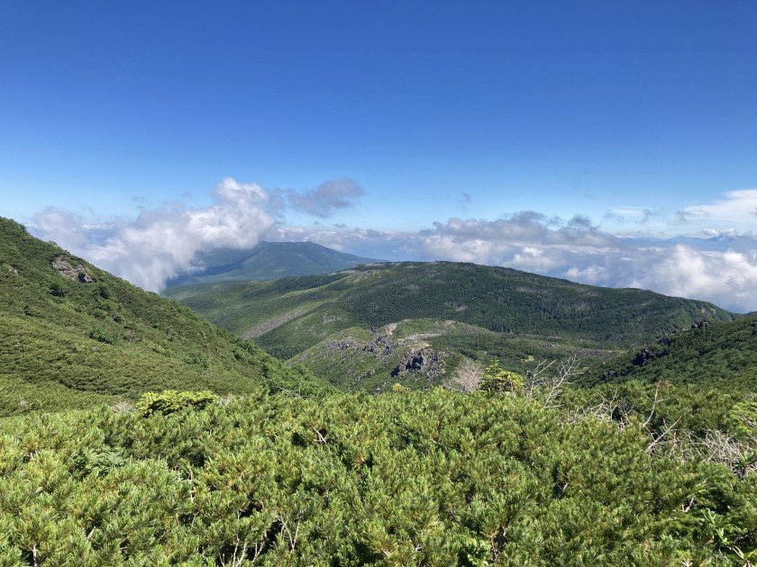 IMG_0676