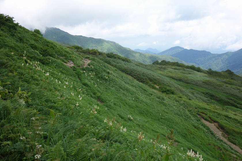 DSC05533