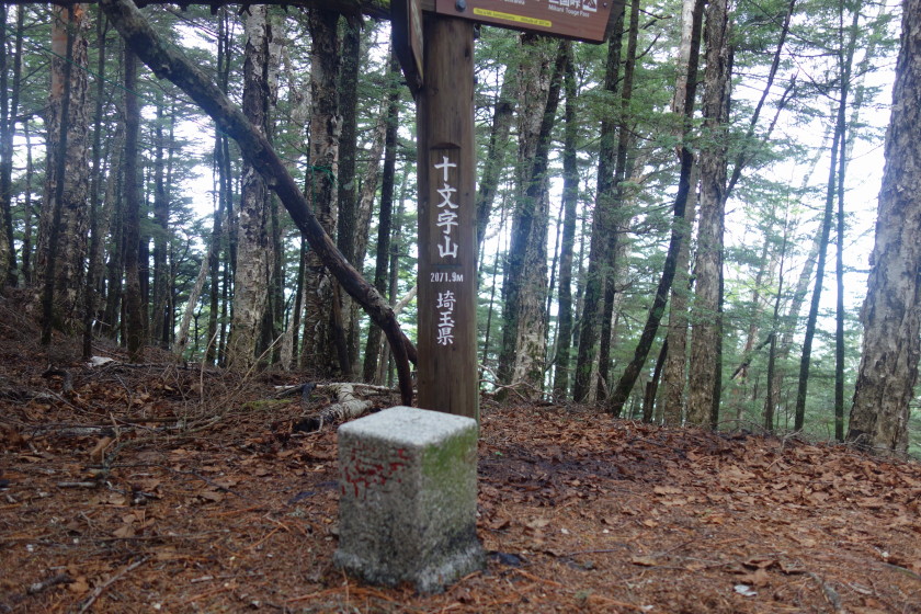 DSC06519