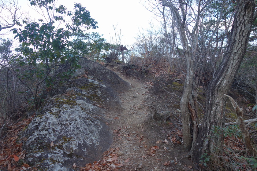 DSC05948