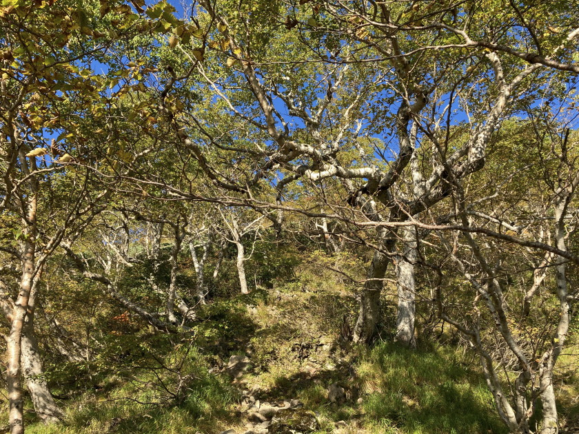 IMG_9114