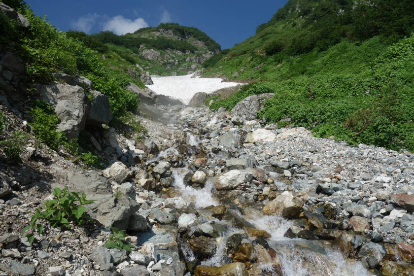 DSC05348