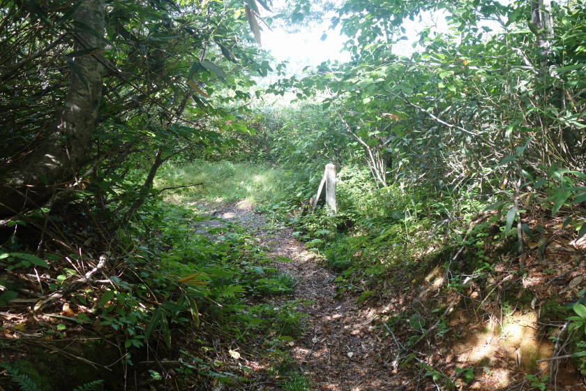 DSC05664
