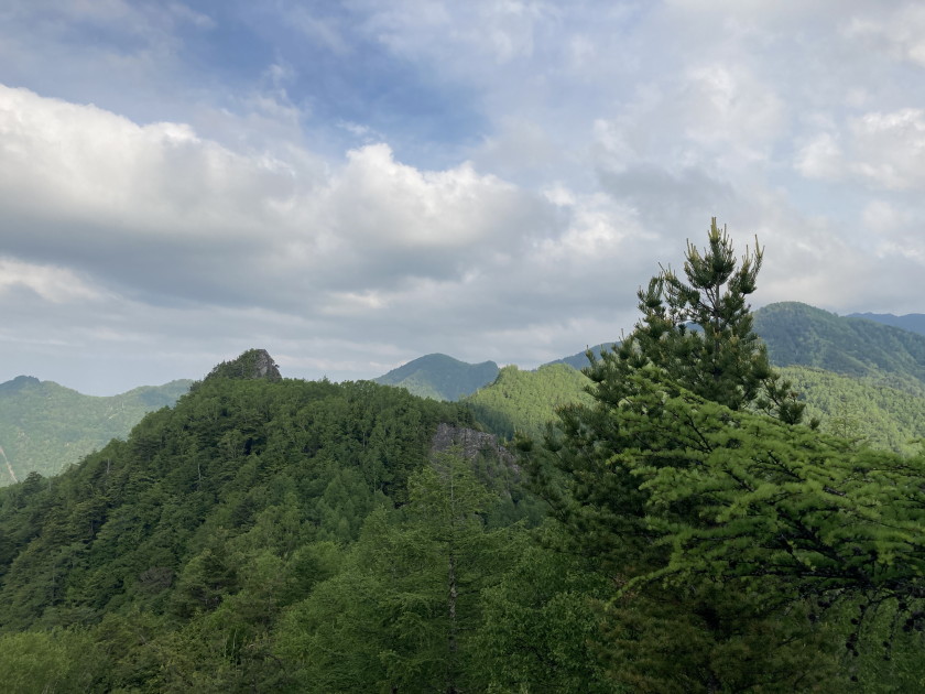 IMG_3529