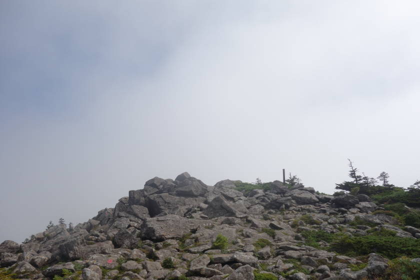 DSC05647