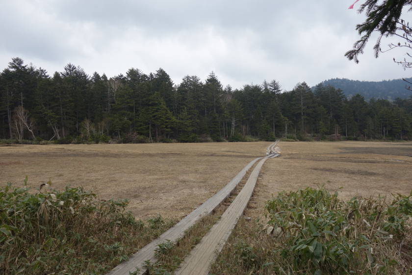 DSC05056