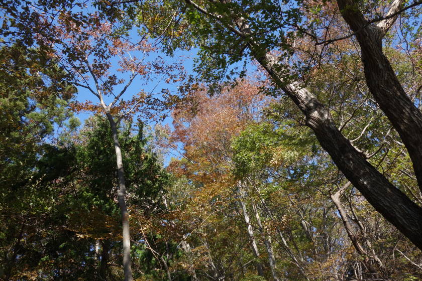 DSC04407