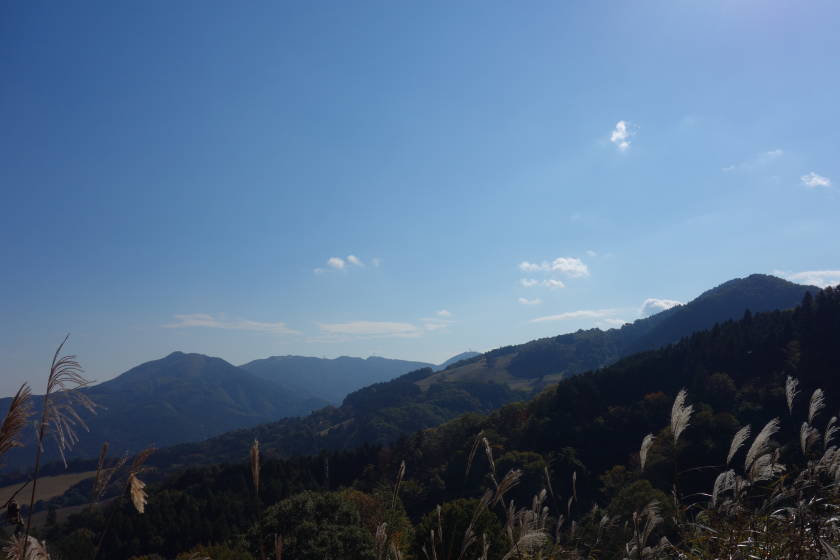 DSC04412