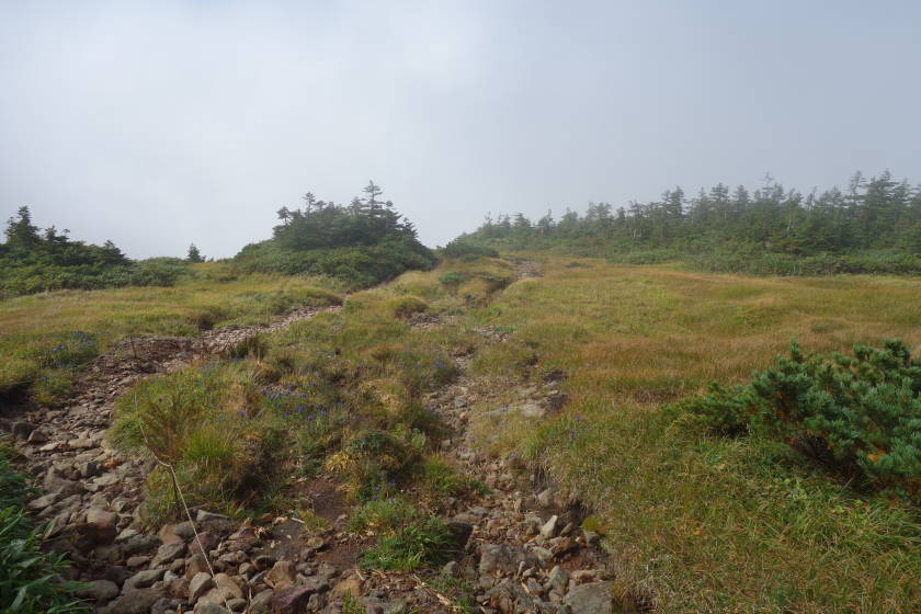 DSC05631
