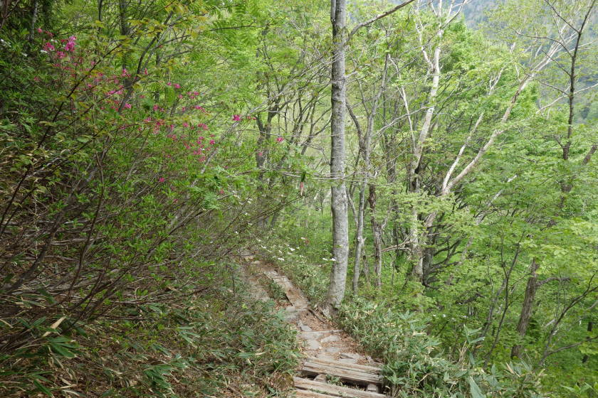 DSC05070
