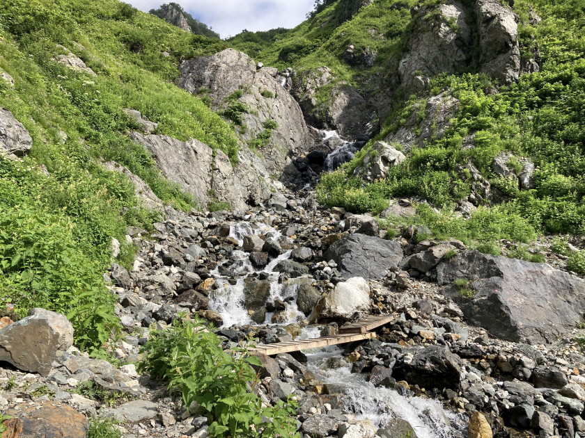 IMG_8977