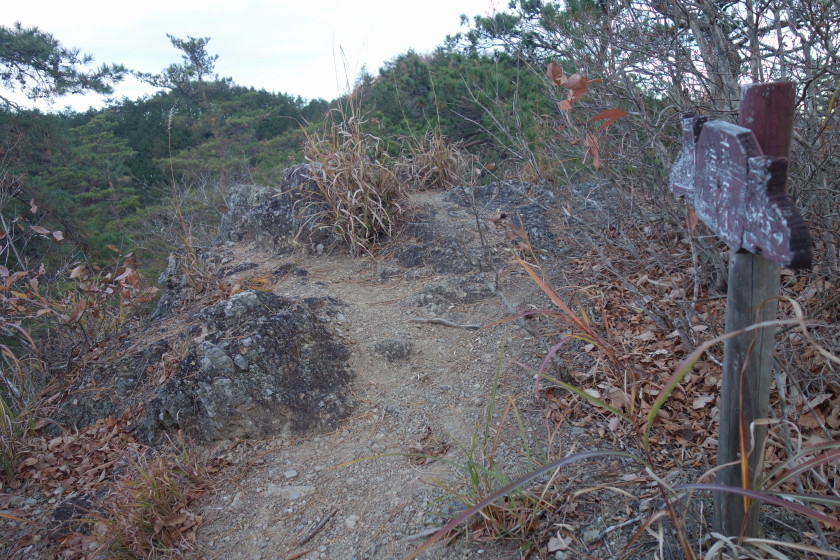 DSC05950