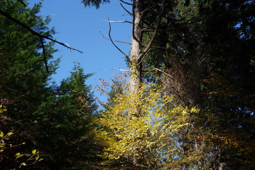DSC04403