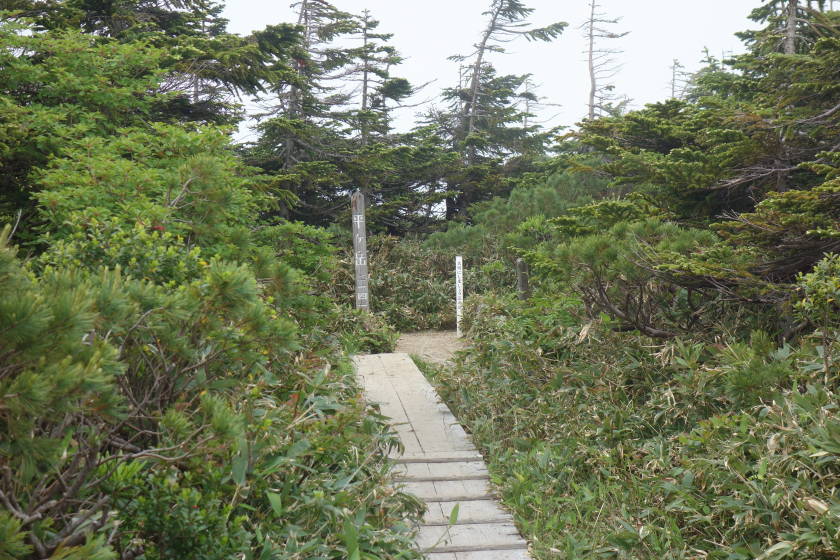 DSC05179