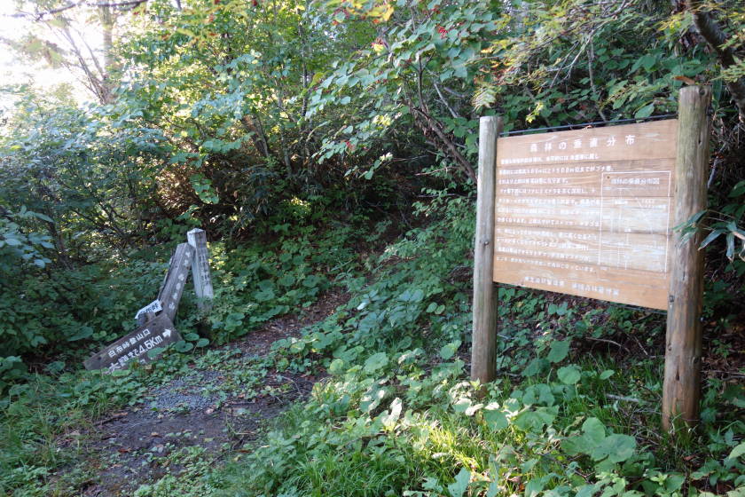 DSC05607