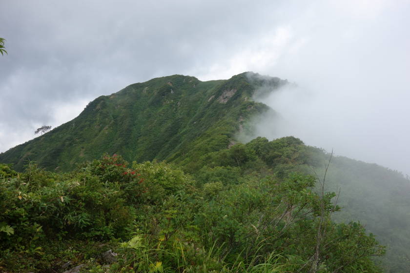 DSC05527