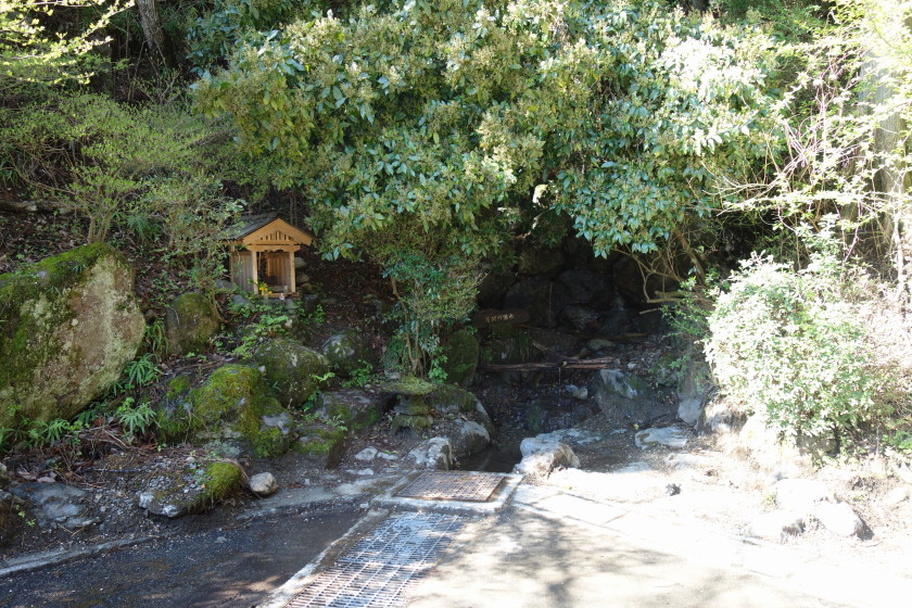 DSC06439