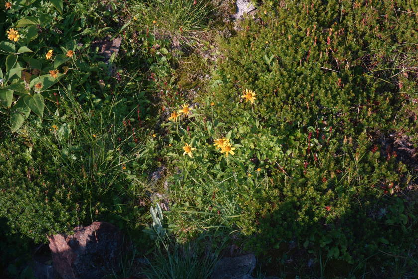 DSC05434