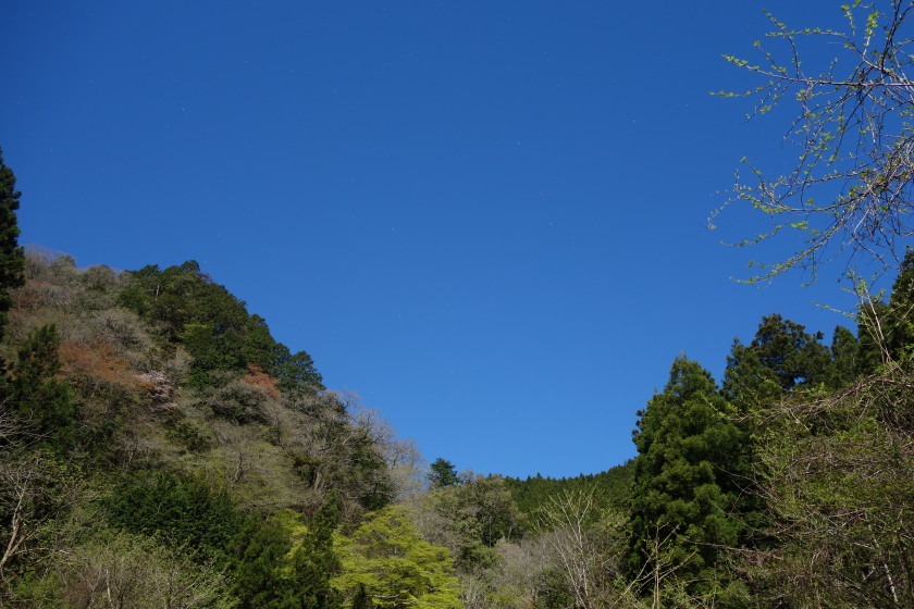 DSC06445