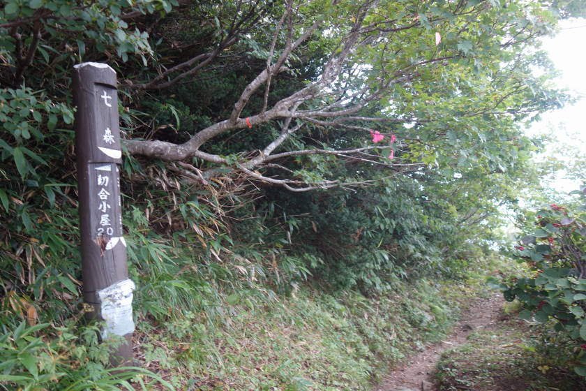 DSC05586