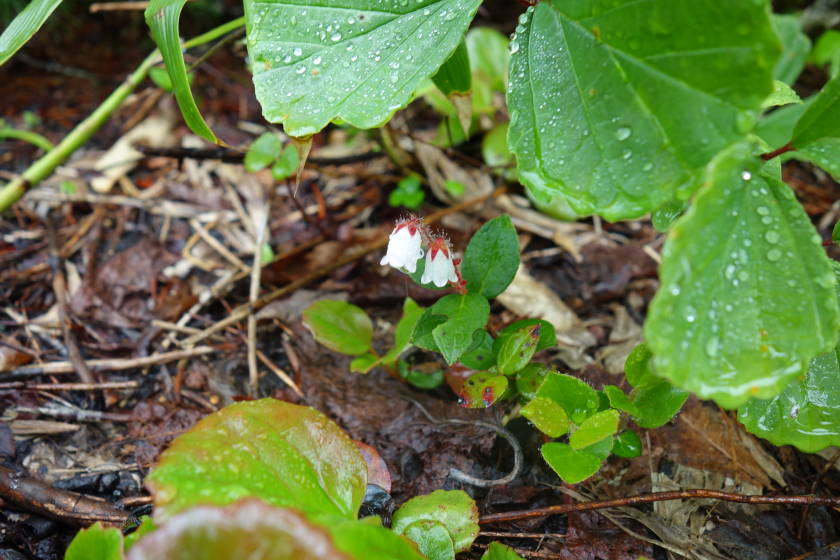 DSC05149