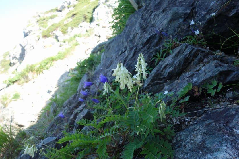 DSC05307