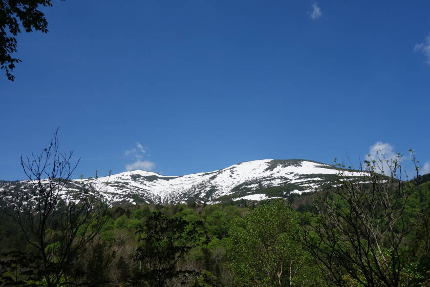 DSC04988
