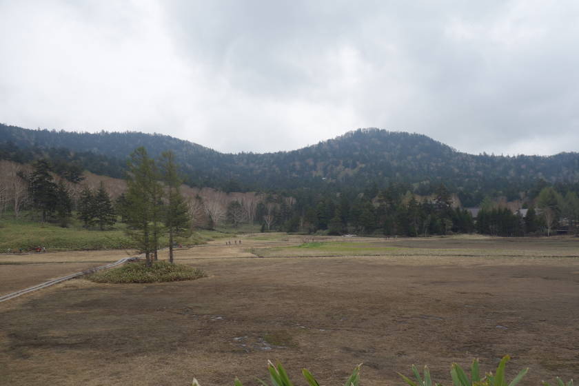 DSC05059