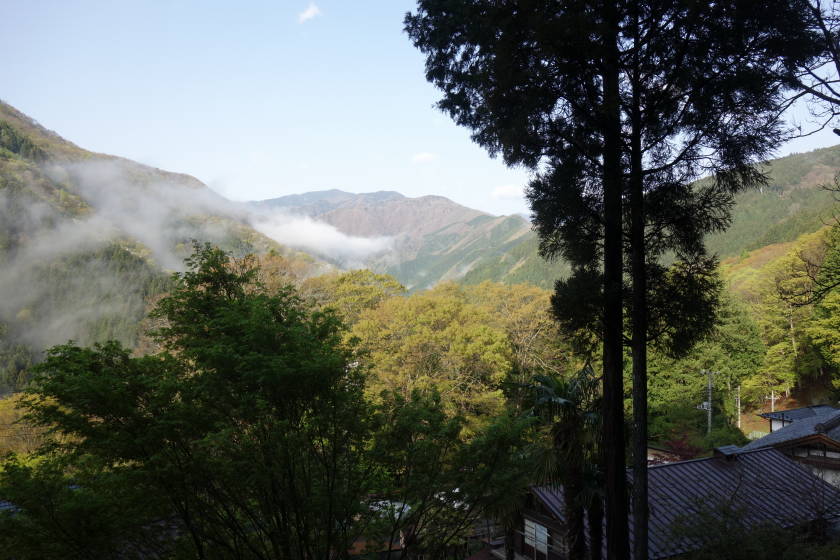 DSC04811