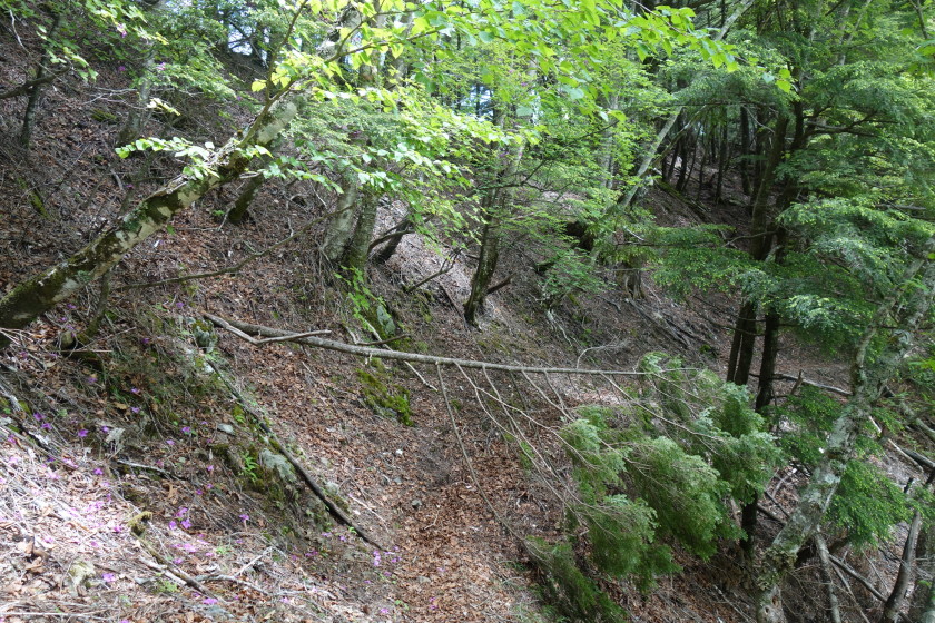 DSC06551