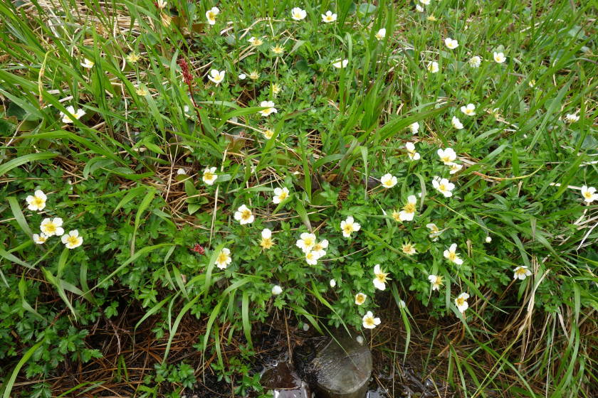 DSC05173