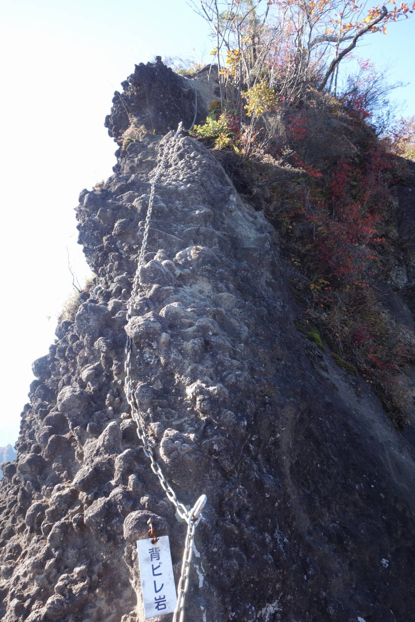 DSC04363