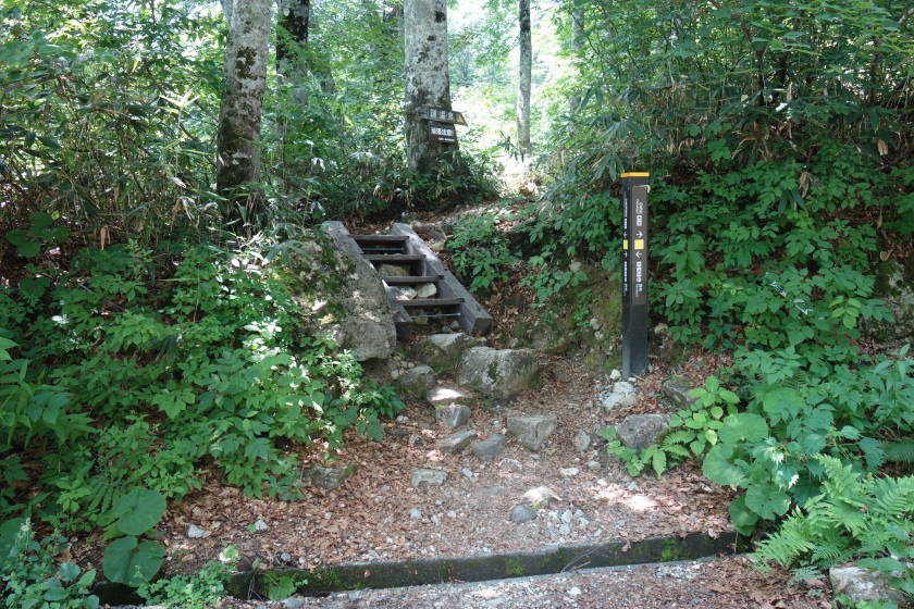 DSC05379