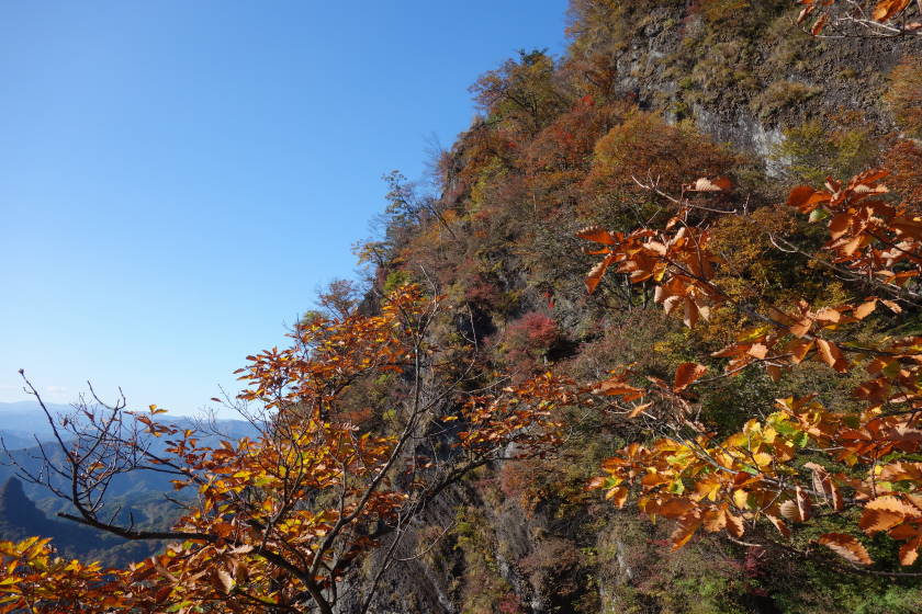 DSC04358