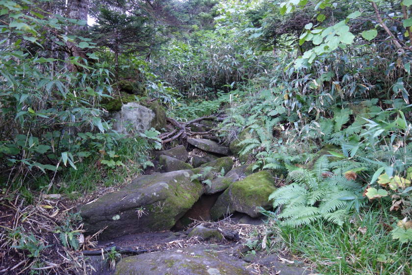 DSC05612