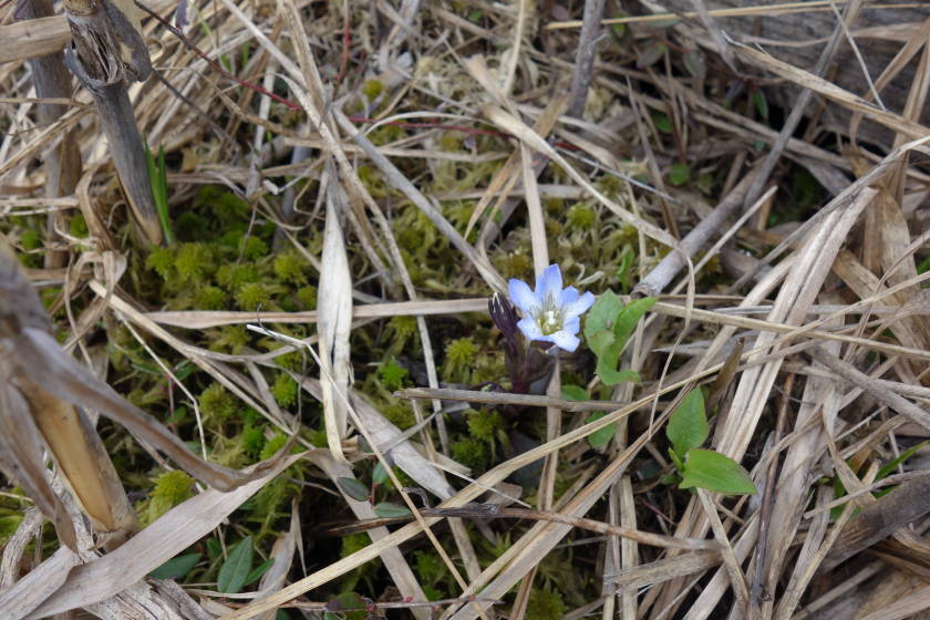 DSC05007