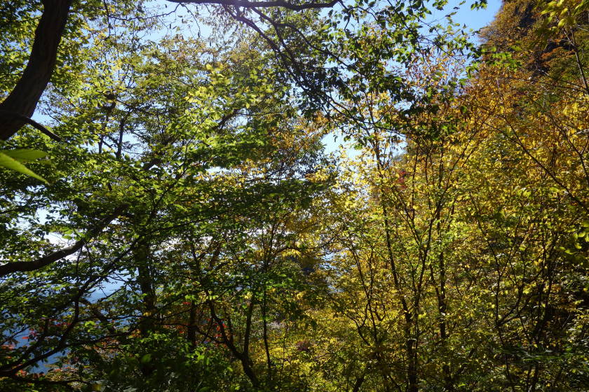 DSC04377