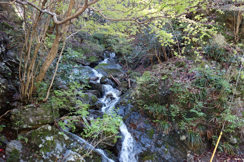 DSC06450