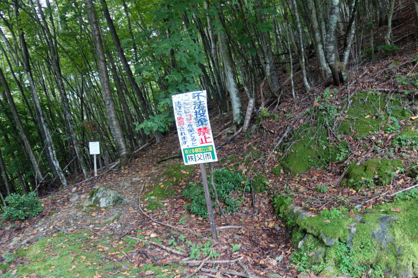 DSC06747