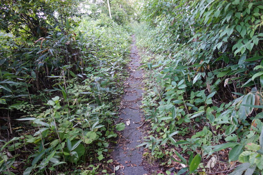 DSC05602