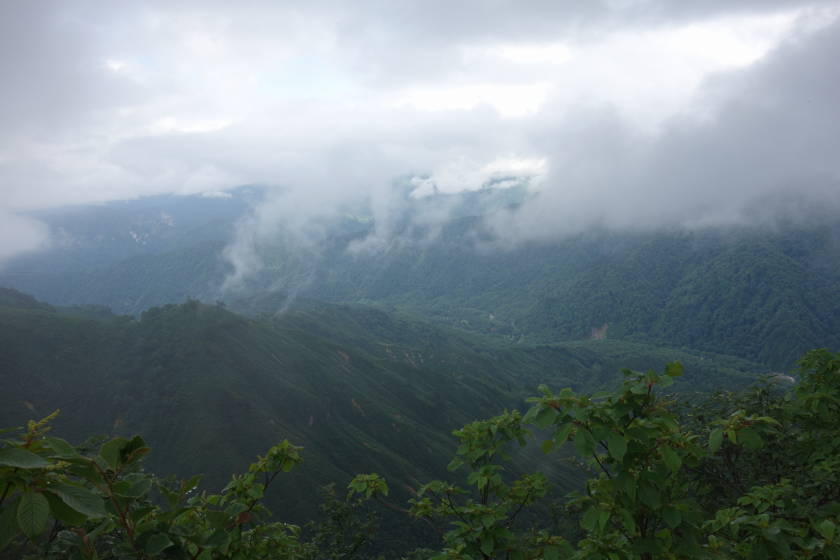 DSC05191