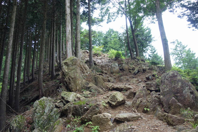 DSC05080