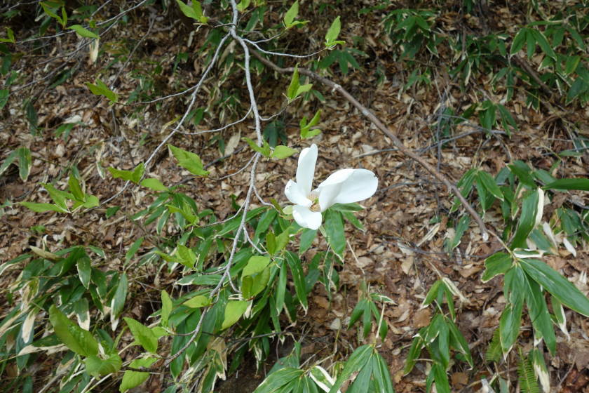DSC05071