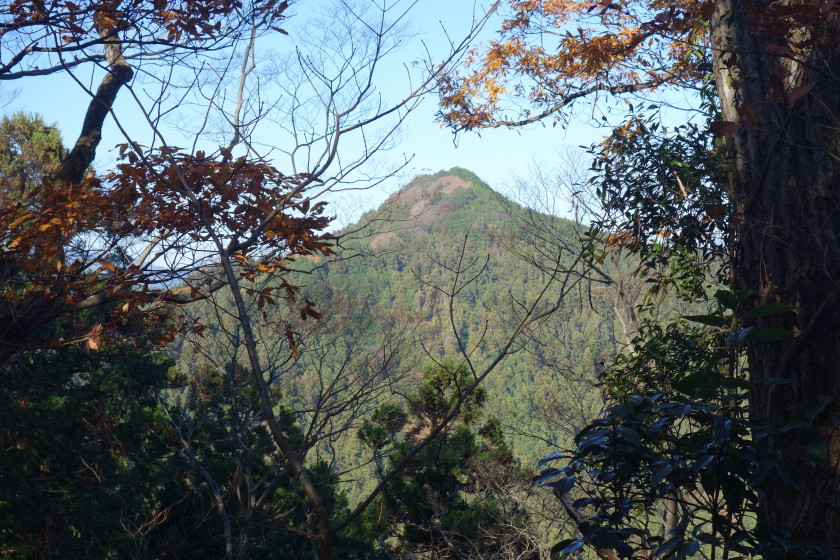 DSC06022