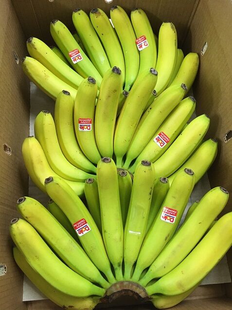 大房バナナ はせがわくだもの店のブログ
