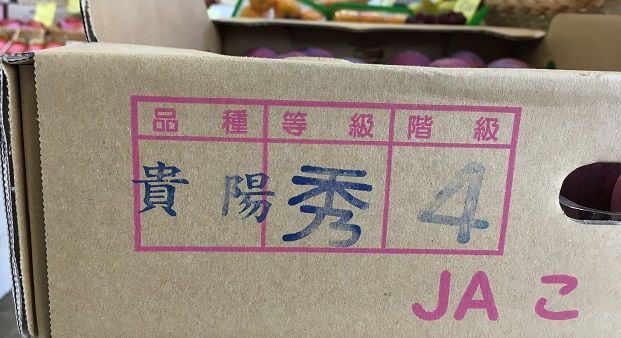 「貴陽」 : はせがわくだもの店のブログ