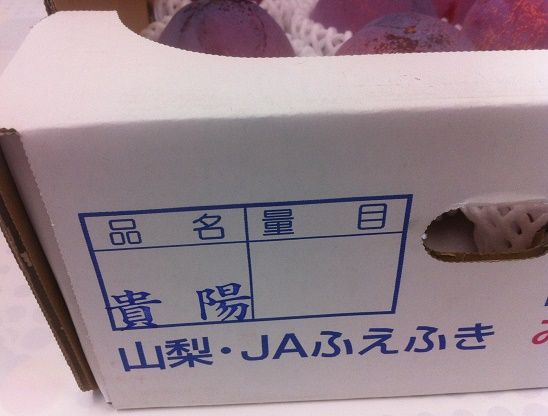 「貴陽」 : はせがわくだもの店のブログ