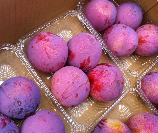 山梨産「貴陽」 : はせがわくだもの店のブログ
