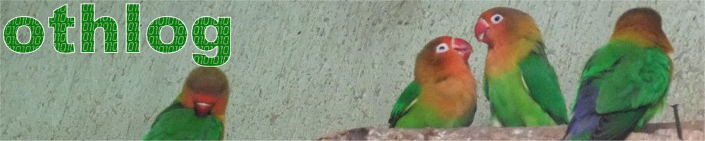 othlog イメージ画像